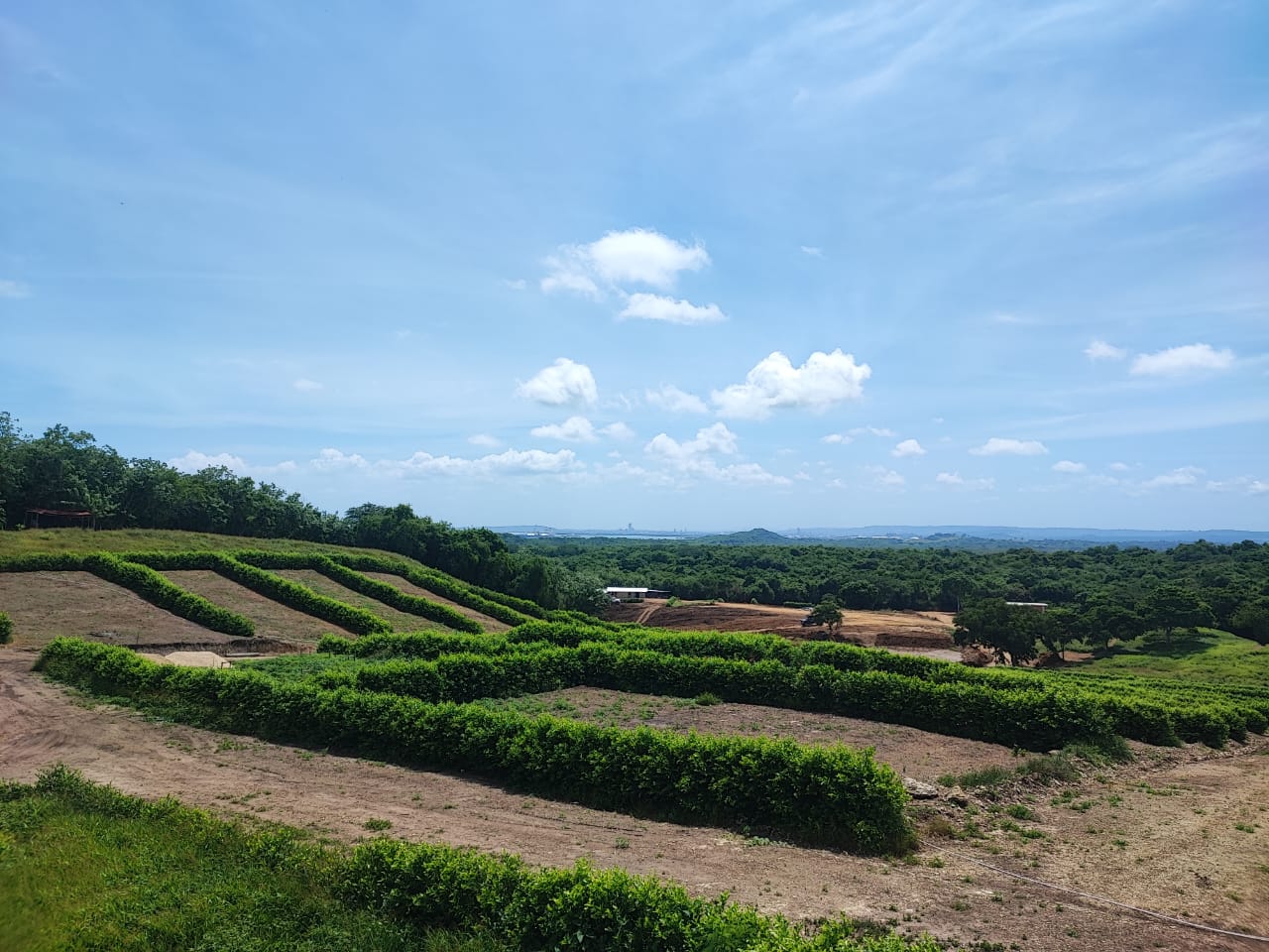 Progreso de obra en Isla Barú